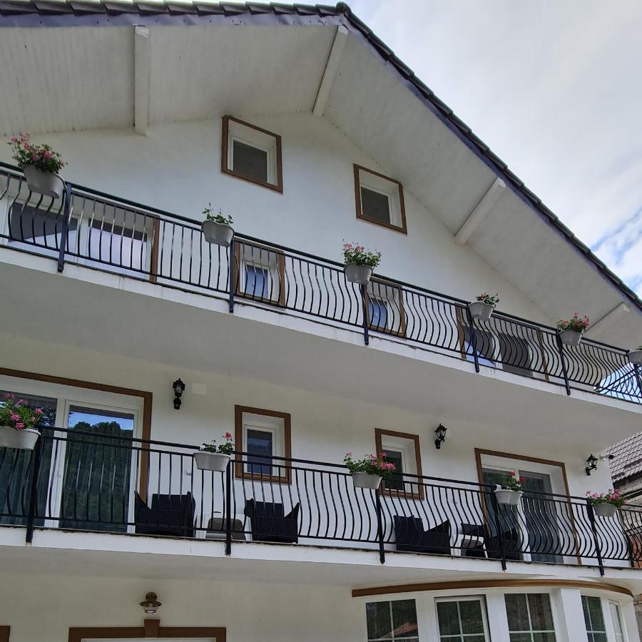 Casa Anne Hotel Baile Herculane Bagian luar foto